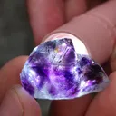 specimen video