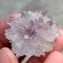 specimen video