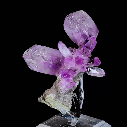 specimen video