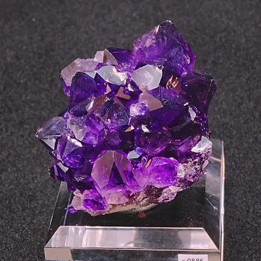 specimen video