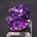 specimen video