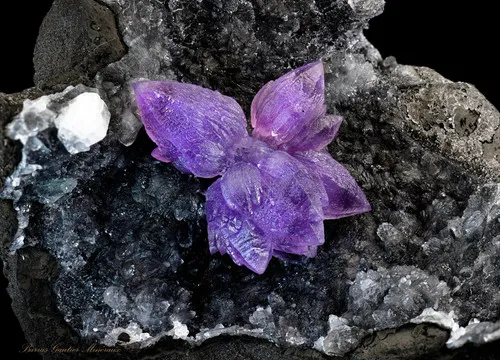 Amethyst - image 5