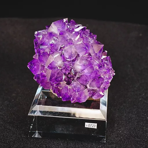 specimen video