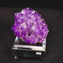 specimen video
