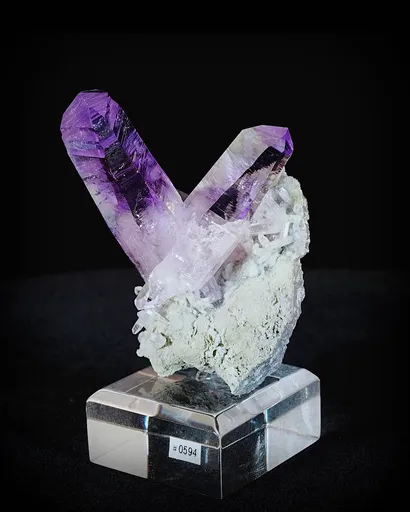 specimen video