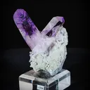 specimen video