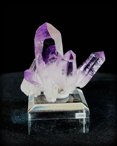 specimen video