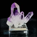 specimen video