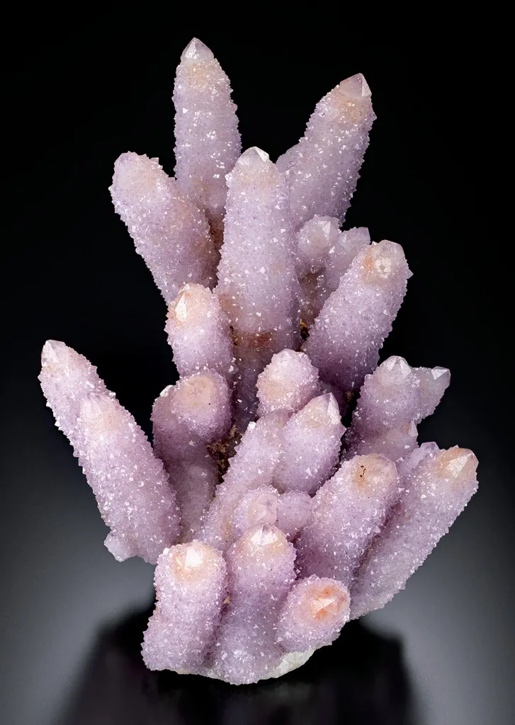 Amethyst (cactus Quartz) image