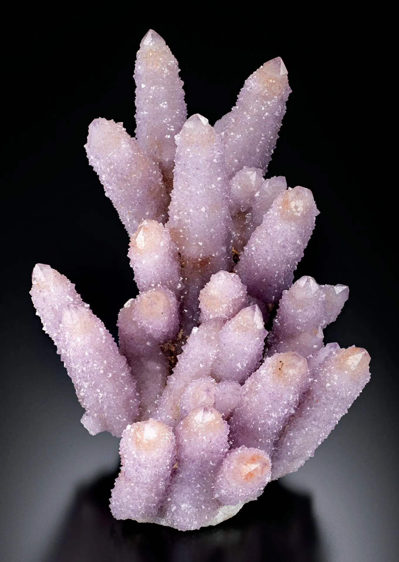 Amethyst (cactus Quartz) - image 1
