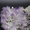 Amethyst crystals on matrix - image 4