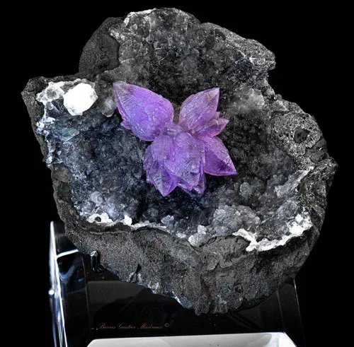 Amethyst - image 2
