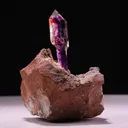 specimen video