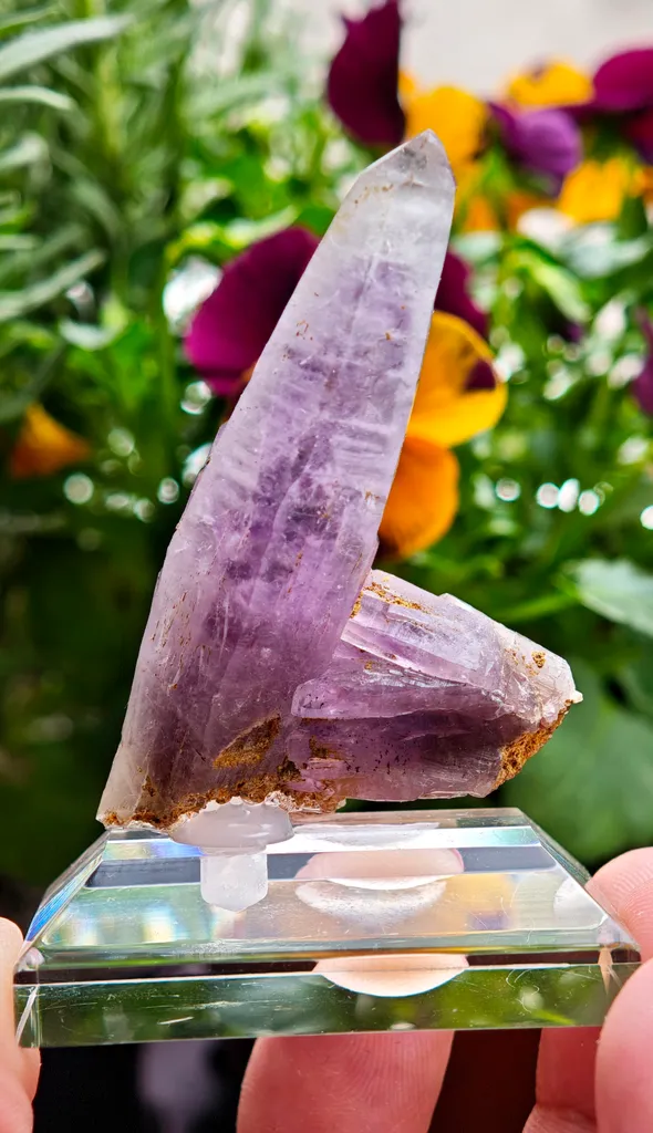 Amethyst from Guerrero, Mexico - image 6