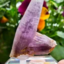 Amethyst from Guerrero, Mexico - image 6