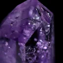specimen video