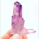 specimen video