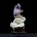 specimen video
