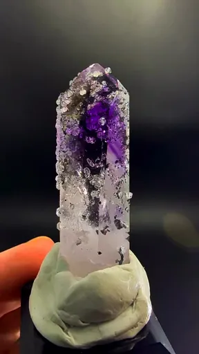 specimen video