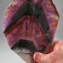 specimen video
