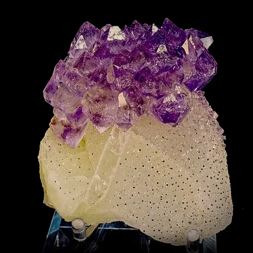 specimen video