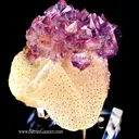 Amethyst on Quartz - image 1