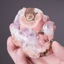 Amethyst on Rhodochrosite - image 2