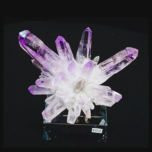 specimen video