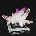 specimen video
