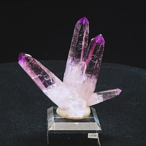 specimen video