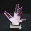 specimen video