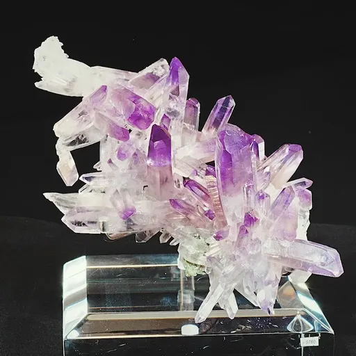 specimen video