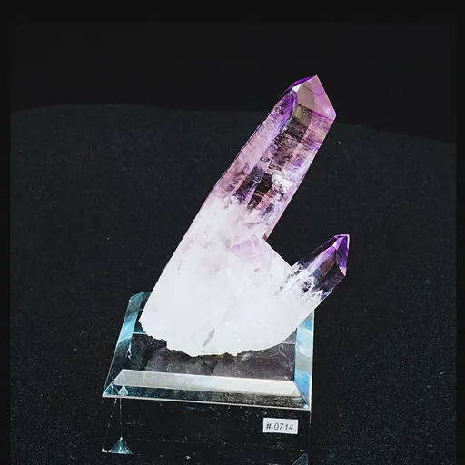 specimen video