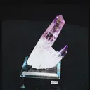 specimen video