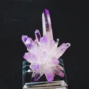 specimen video
