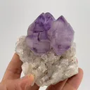 Amethyst Quartz (scepter) - image 5