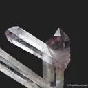 Amethyst (Scepter) - image 2