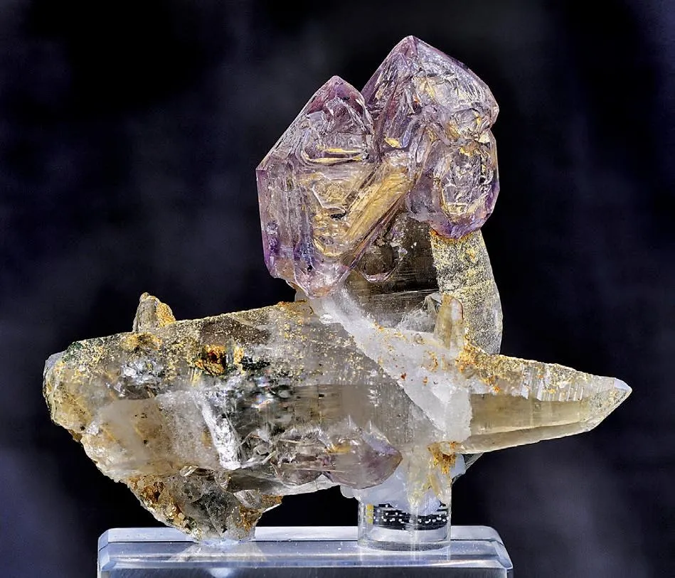 Amethyst scepter (fenstered) on Quartz image