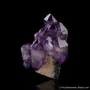 Amethyst scepter (historic locale) on Smoky Quartz - image 1