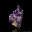 Amethyst scepter (historic locale) on Smoky Quartz - image 2