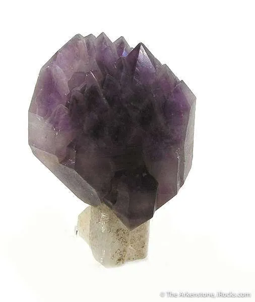 Amethyst Scepter on Quartz image