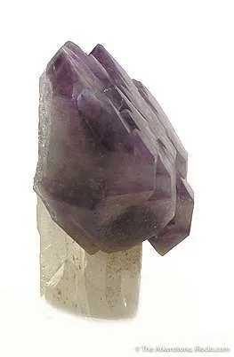 Amethyst Scepter on Quartz - image 3