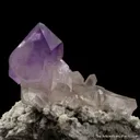 Amethyst scepter on Quartz - image 1