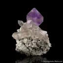 Amethyst scepter on Quartz - image 3