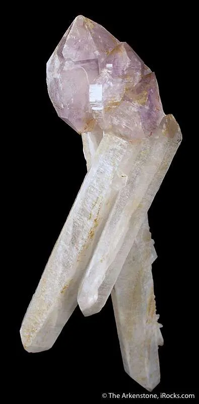 Amethyst Scepter on Quartz image