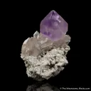 Amethyst scepter on Quartz - image 2