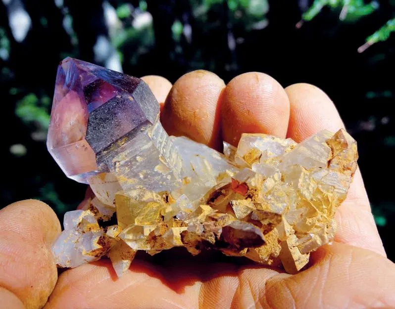 Amethyst scepter on Quartz matrix image