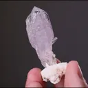 Amethyst SCEPTRE - image 2