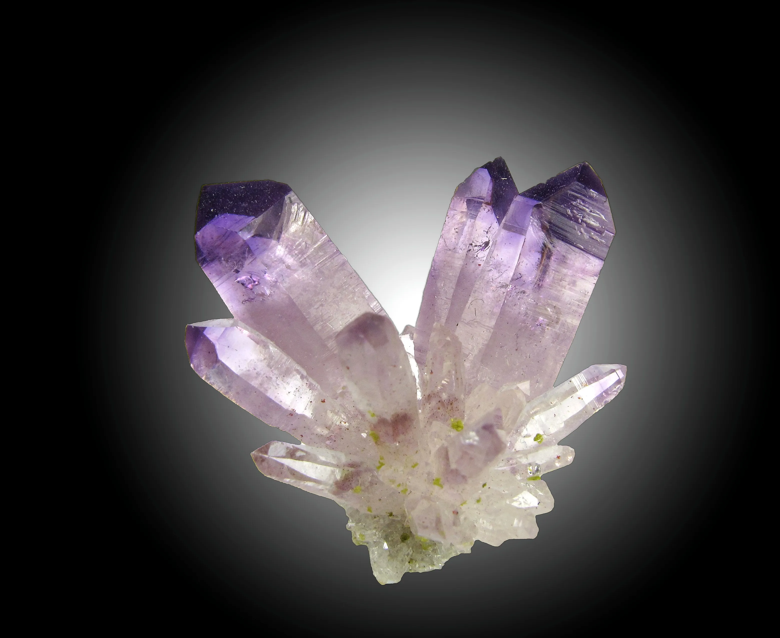 Amethyst with Epidote - image 5