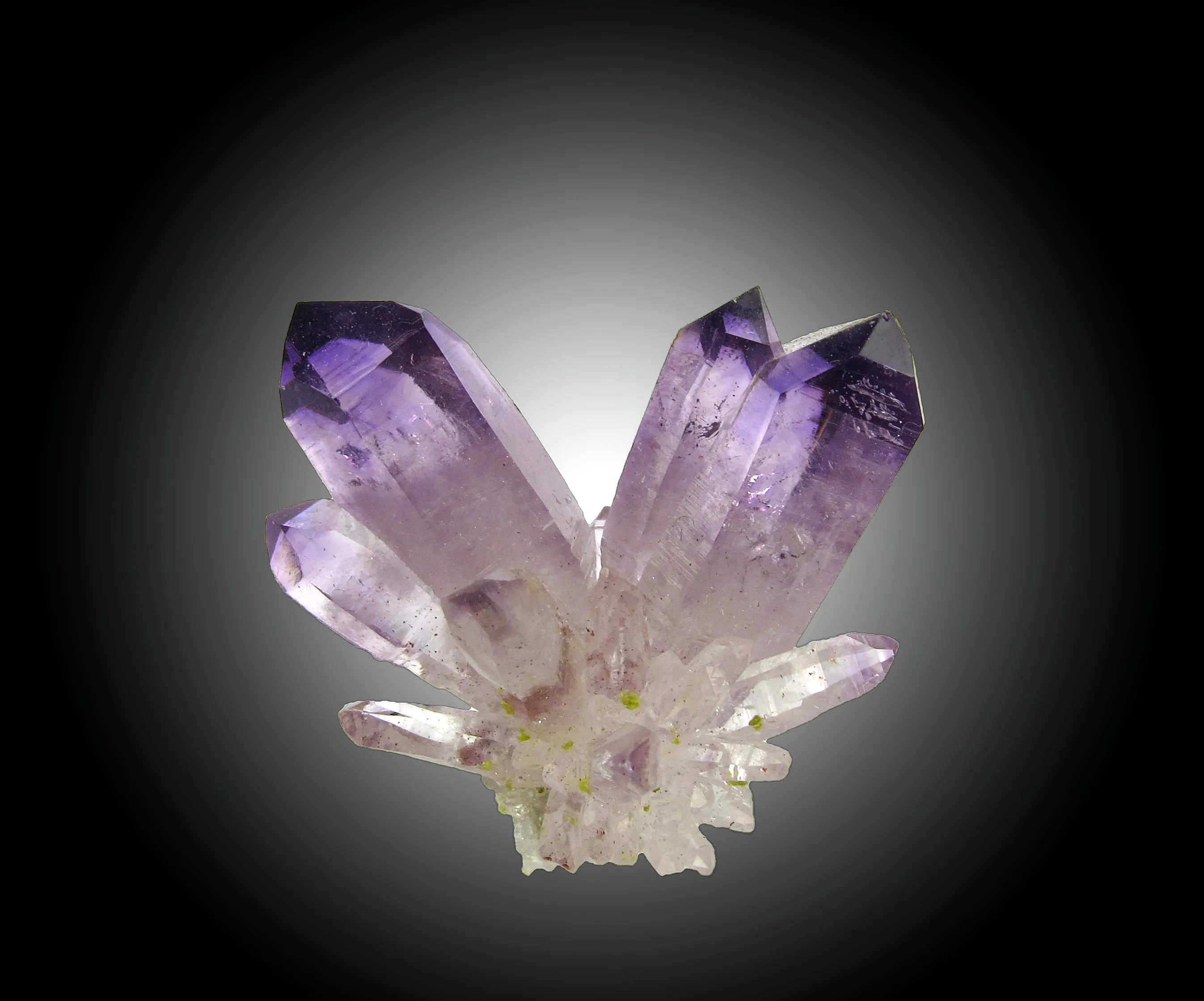 Amethyst with Epidote - image 1